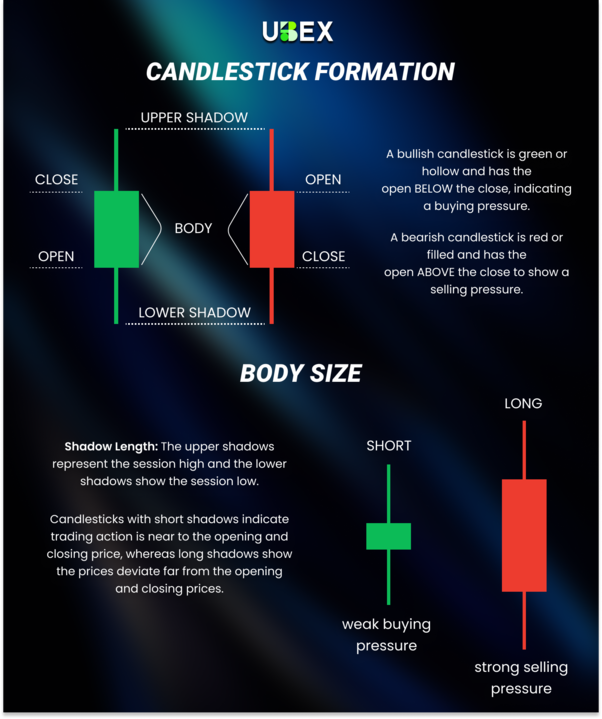 ChainBitX's tweet image. 📊 Understanding candlesticks is the first step to smarter trading.
Learn how body size, shadows, and color reveal market sentiment and price action.
#TradingBasics #CandlestickPatterns #CryptoTrading
