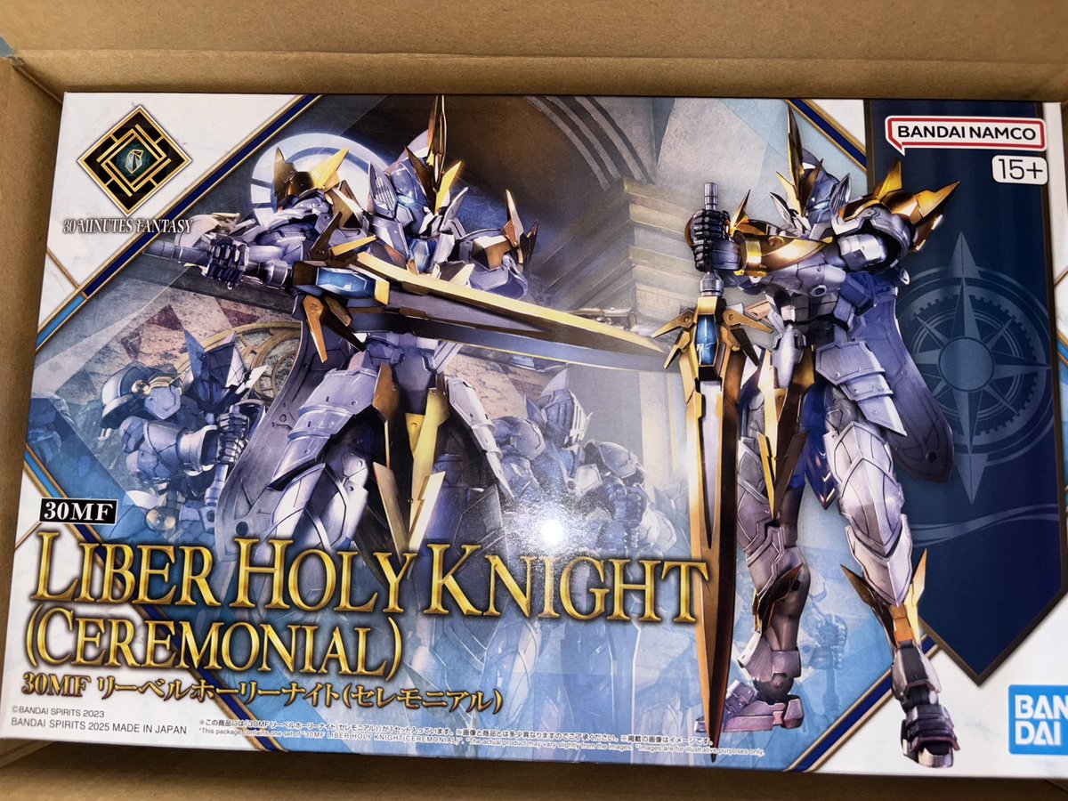 これは俺がダウンしてる時に届いたリーベルホーリーナイト！！箱も中の