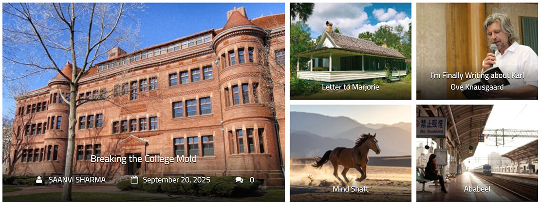 Literary Heist tweet media