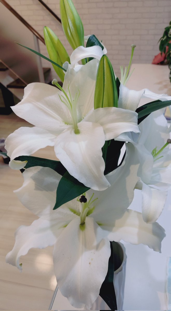 にこまる (@6yQgZFNMNk76215) / Posts / X