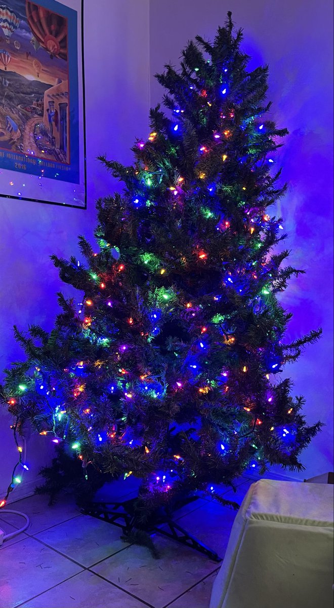 After the Christmas tree incident of 2025 where our tree was found leaning on the entertainment center, the tree has now been propped up against the wall

The alleged cats who contributed to the incident all got some Bach’s Rescue remedy to chill them out 😹