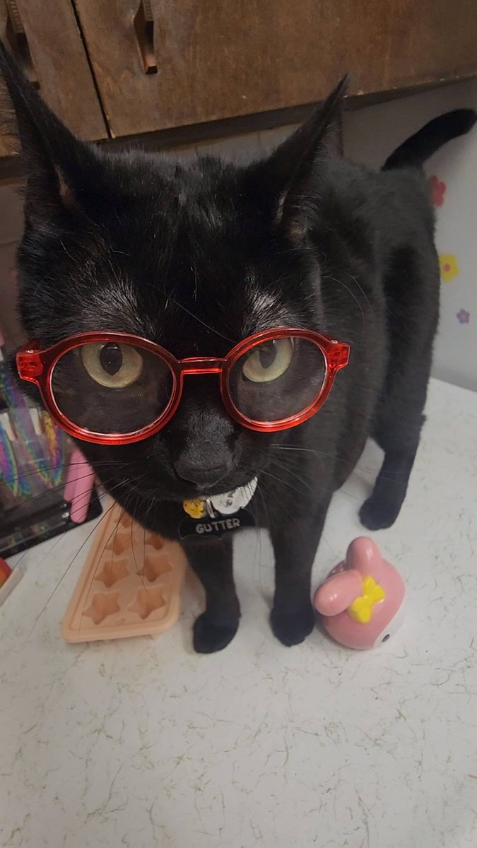 I made a very important discover today #coveholden plushie glasses fit guts perfectly