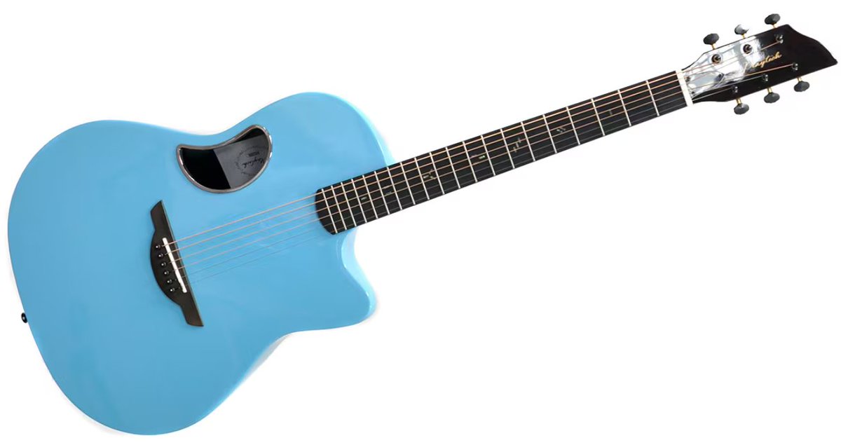 🎅大幅値下げ市🎄／ ラウンドバックのかわいいギター🐬サウンドホール