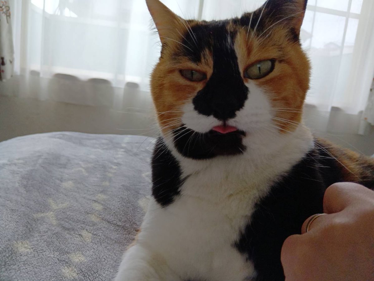 おはようございまth