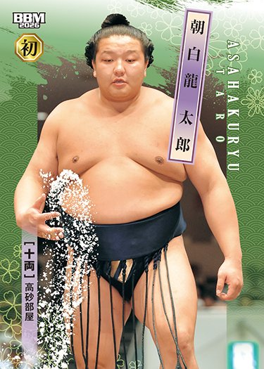 2026 BBM 146枚 大相撲カード　レギュラー　キラ　フルコンプ