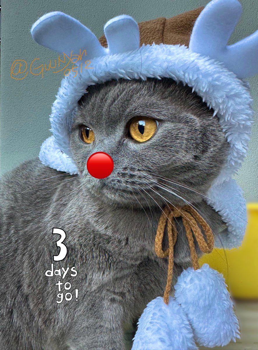 グーニャン (@GuuNyan0512) / Posts / X