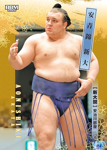 大相撲 CARDS SUMO インサートカード　明星　安青錦 2026 BBM