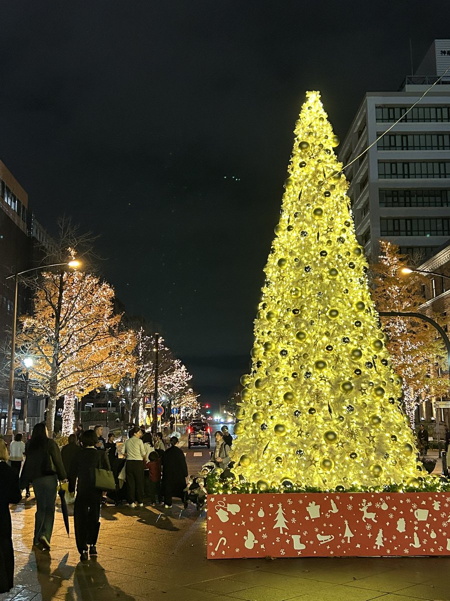 Jimin1Best's tweet photo. ハマスタから横浜公園抜けて
日本大通りへ
クリスマスイルミネーション
が輝いている
✨.•*¨*•.¸⭐️•*¨*•.¸¸⭐️•*¨*•.¸¸✨

#BALLPARKXmas https://t.co/OnHWYIerfF