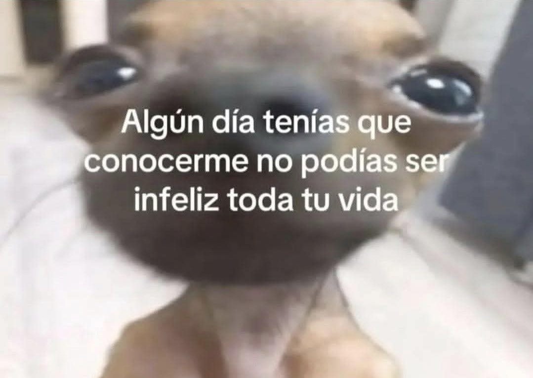 angelo_uf's tweet image. 