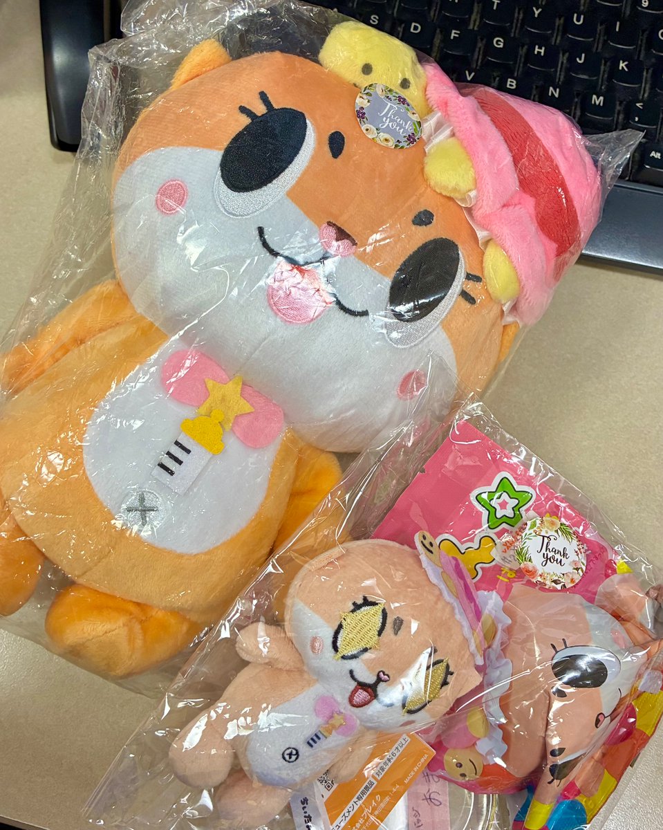 ちいたん☆ (@mickeyentry) / Posts / X