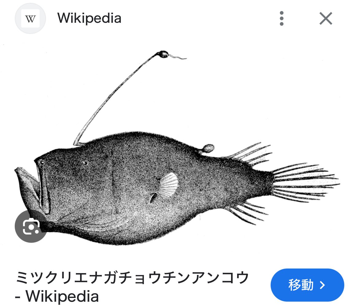 あつ森のチョウチンアンコウ、この辺りの扱い巧くて好き ゲーム上の