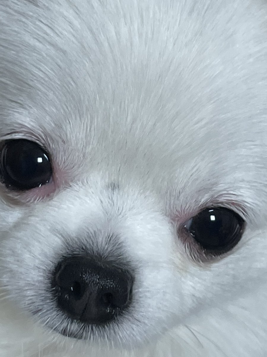 월요일… 정말 숭드네요
숭빡샷을 보고 힘내봅니다