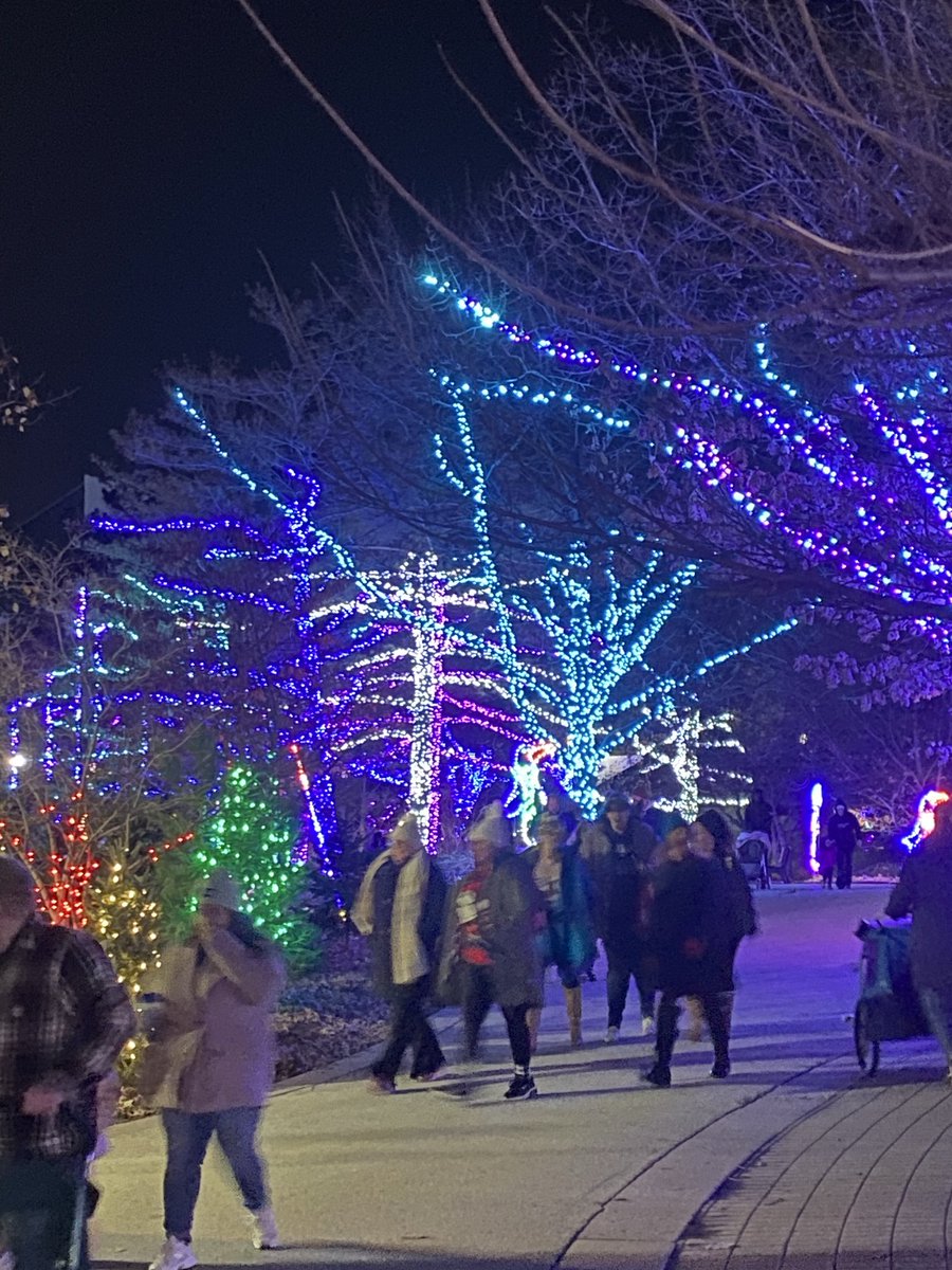 WeightingToBe's tweet image. Indianapolis Zoo at Christmas, Magical.
@IndianapolisZoo
