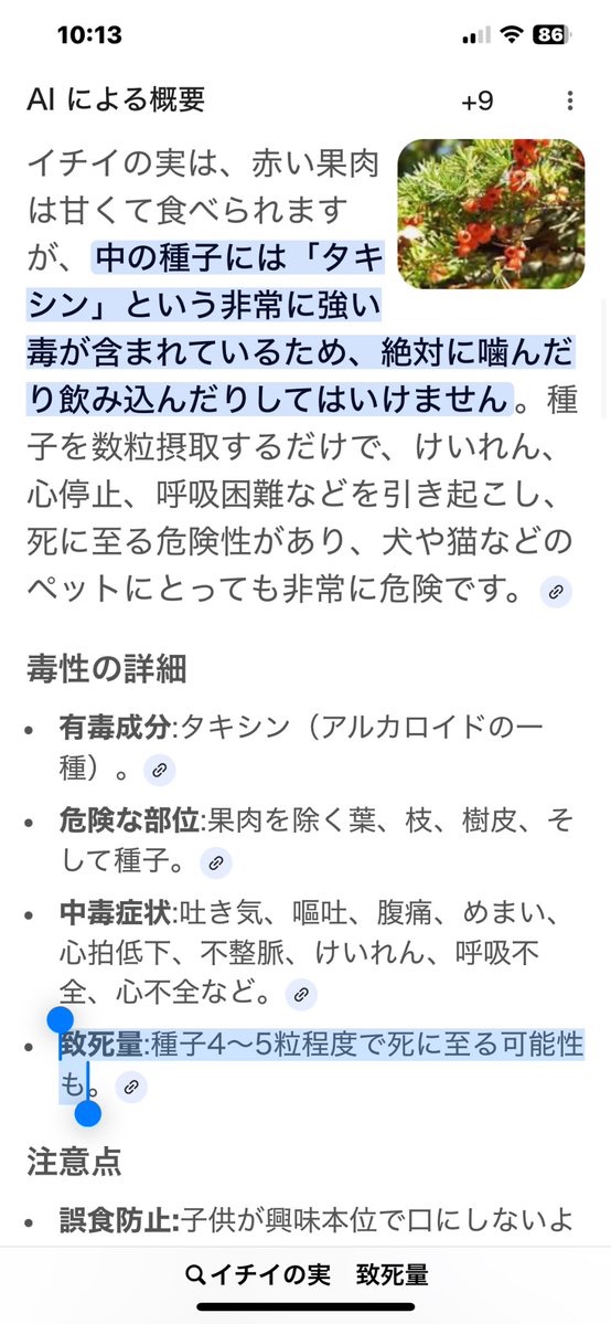 たぬたぬ (@butanuki111) / Posts / X