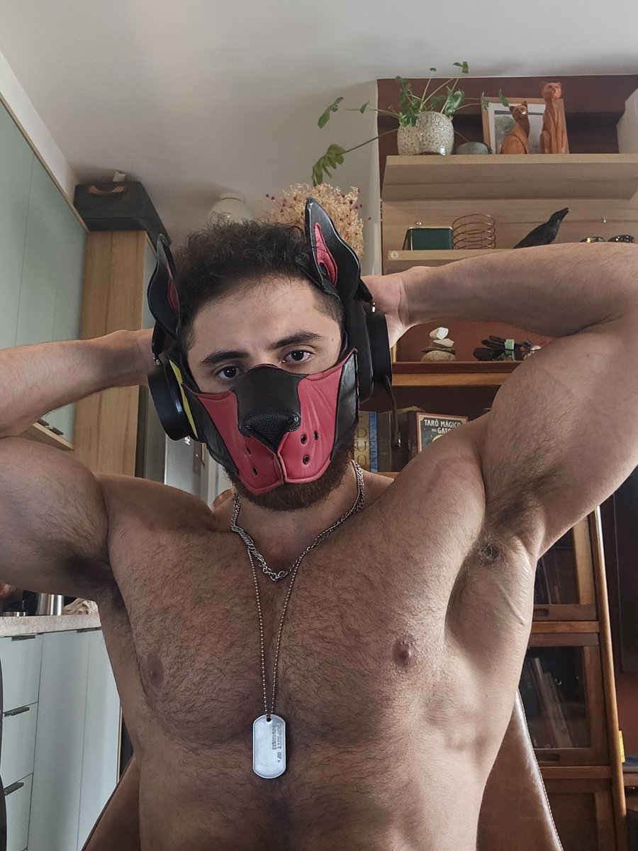 I've heard you like armpits
watchfighters.com/channels/Bodyb…