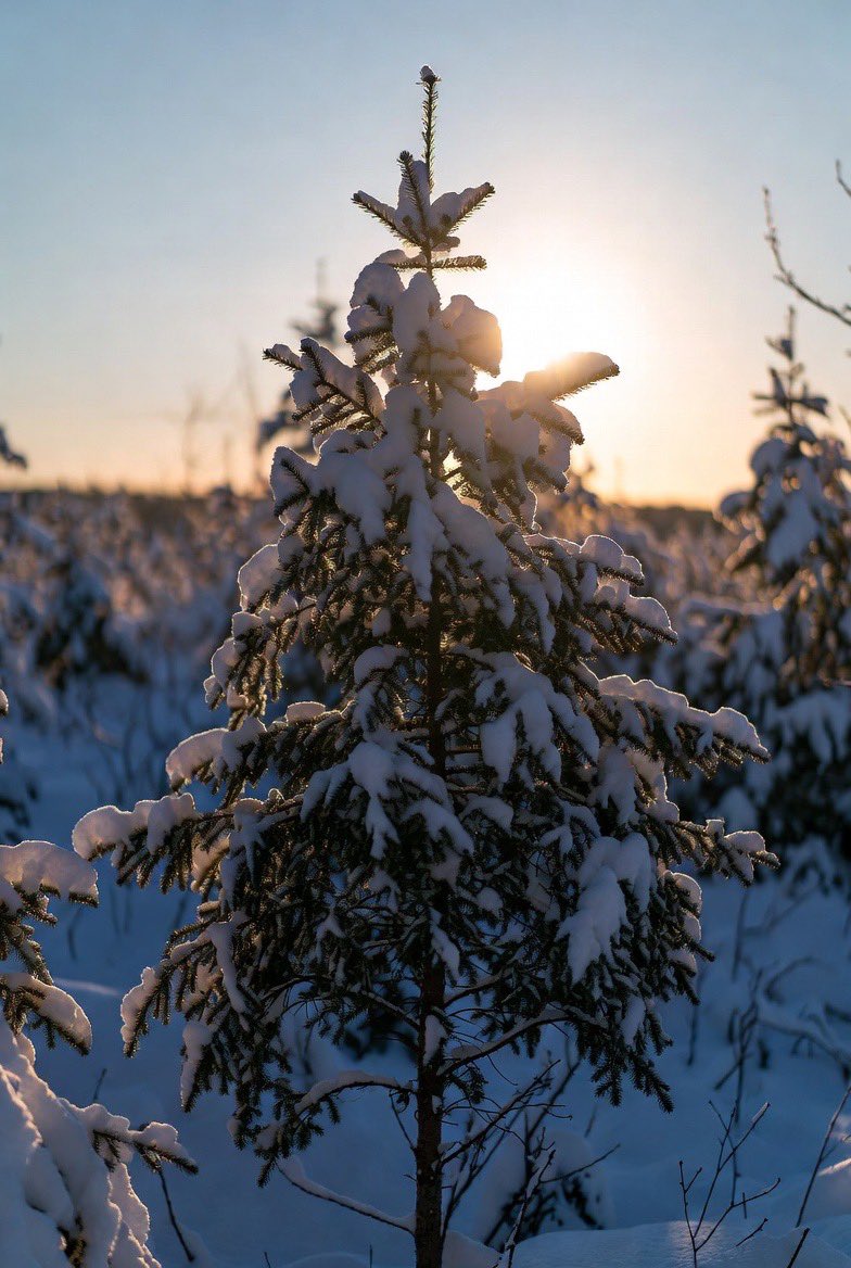 Darren Grob tweet media