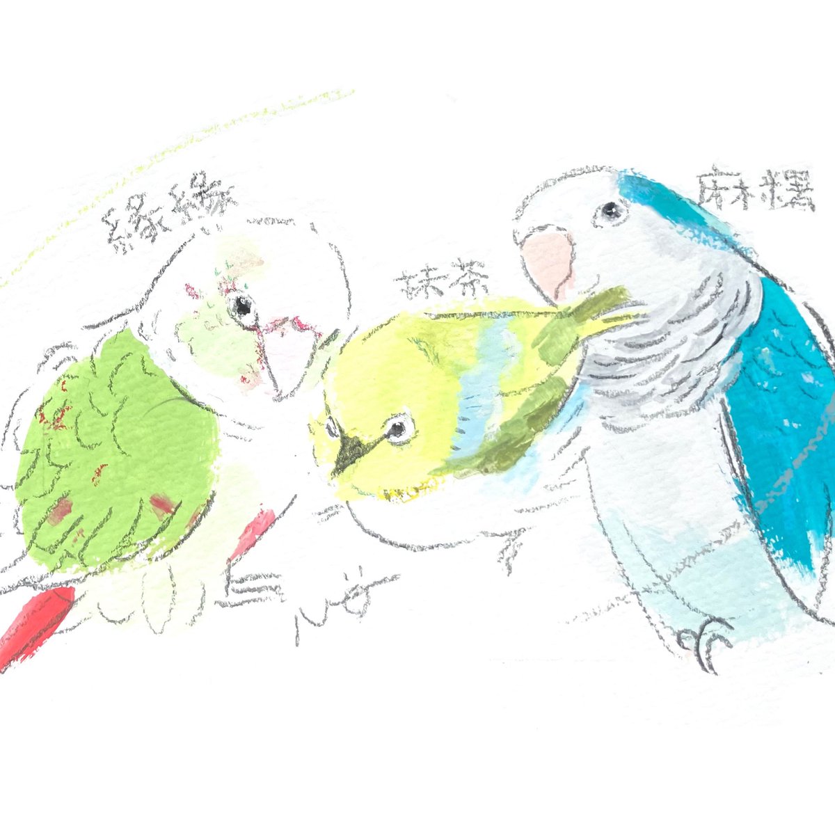 okumura_michiyo's tweet photo. オーダーイラスト
ウロコ・メジロ・オキナズです
アー写感👍キマってます
#小鳥時光 4.0 #kotoritime https://t.co/GKVoUgziRK