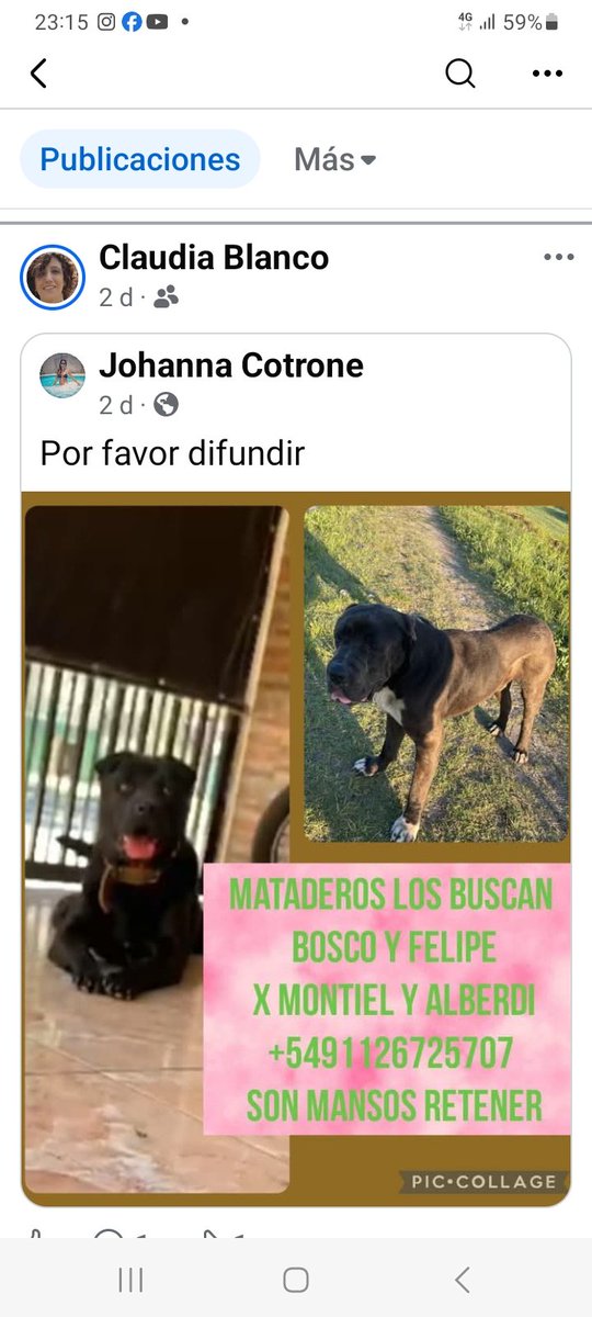 BOSCO Y FELIPE SE PERDIERON EN MATADEROS🙏🙏🙏🥺 si los ven retener y llamar a su familia, son buenitos!!
📱1126725707
facebook.com/share/p/1BasJX…