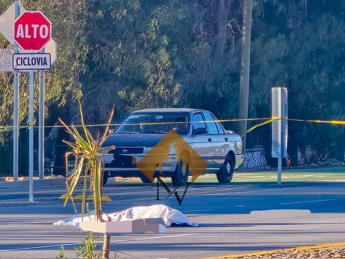 Noticias con Valor SMA tweet media