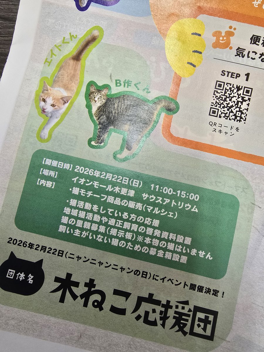 木ねこ応援団が譲渡サポートしている猫がびびなび表紙で紹介されました