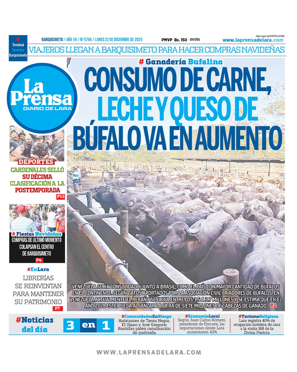 LA PRENSA de Lara tweet media