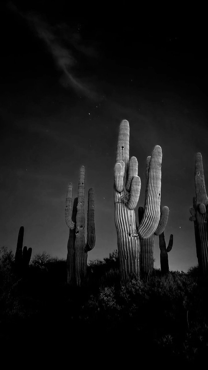 Even the most basic person (aka me) can take awesome pics in Arizona, hahaha