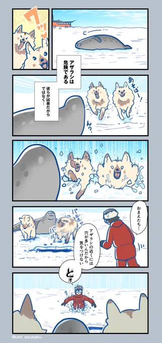 アザラシは危険? 