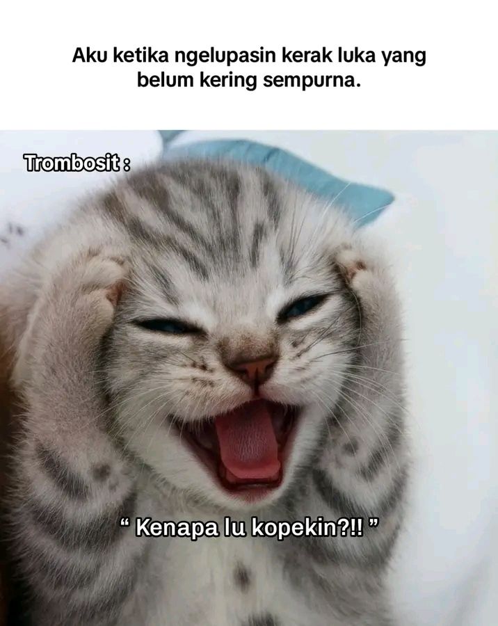 wilonaaa's tweet image. 