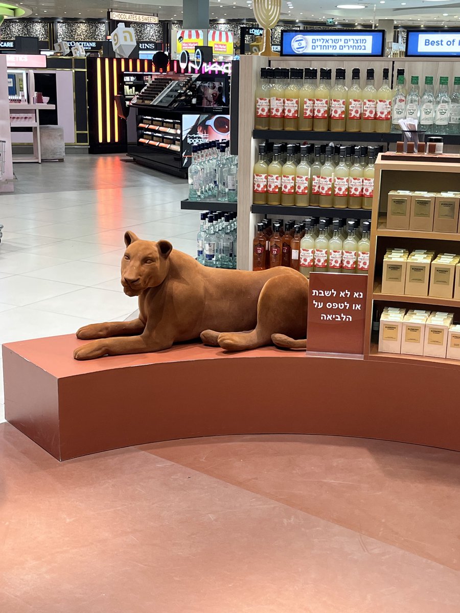 הלביאה לא מוטרדת אם מטפסים עליה