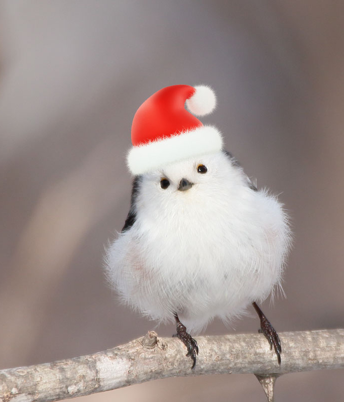 ♥ひろりん♥ ひろりん (@hirorin823) / Posts / X