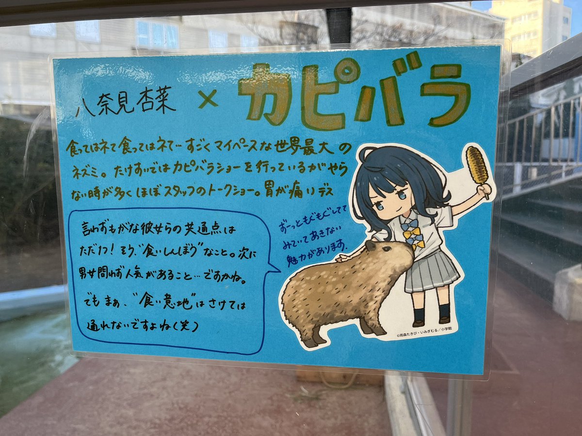 hatamame hazu (@HatamameH) / Posts / X