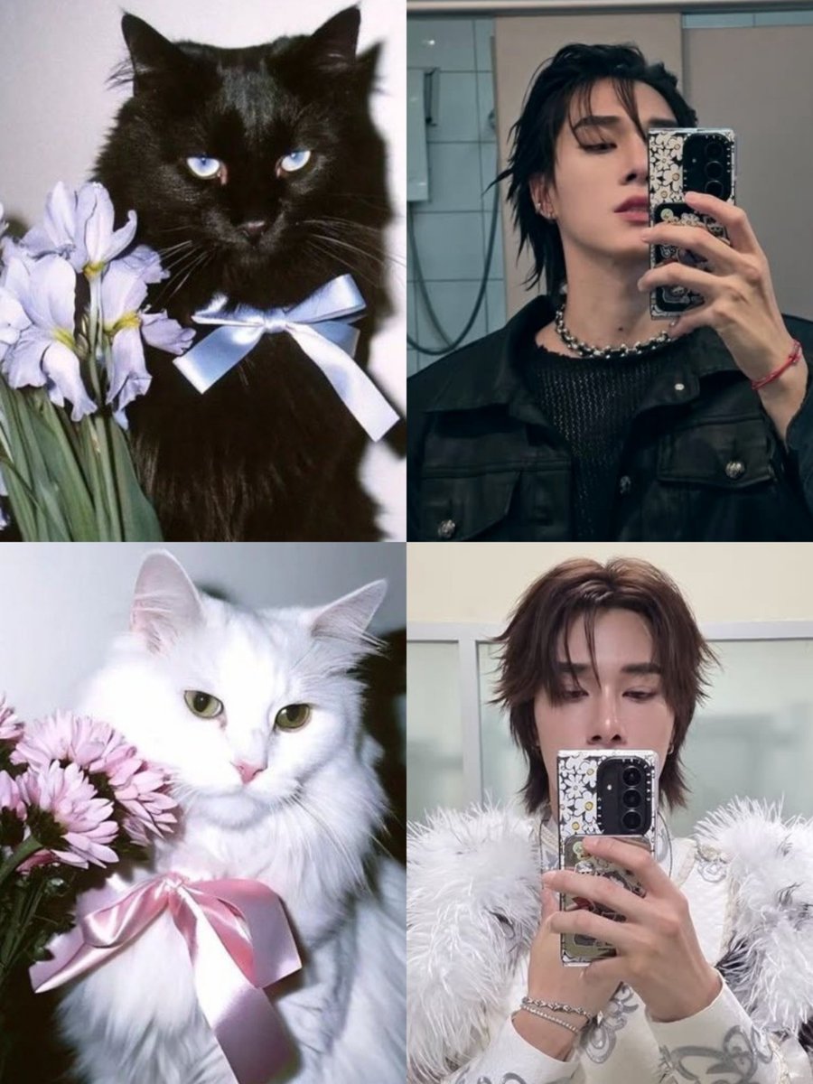 morning my cat ♡
#hirunkit_ <a href="/Hirunkit_/">Hirunkit Nani</a>