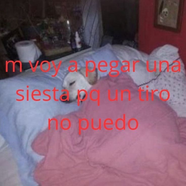 𓂃˖˳·˖ ִֶָ ⋆𝓫𝓮𝓴𝓪𝓪⋆ ִֶָ˖·˳˖𓂃 ִֶָ (@b3k4thh) on Twitter photo 