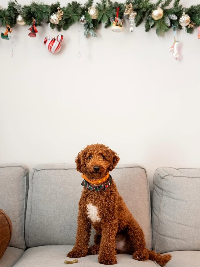 Raging Fire ~ (Not @TakeSoup) tweet media