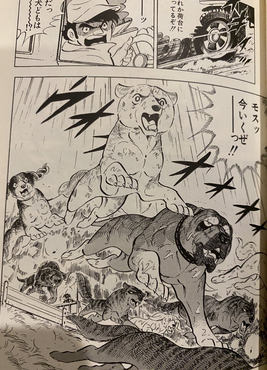 🌌高橋よしひろ先生新連載🌌銀牙伝説レクイエム🌌 (@katukatu210