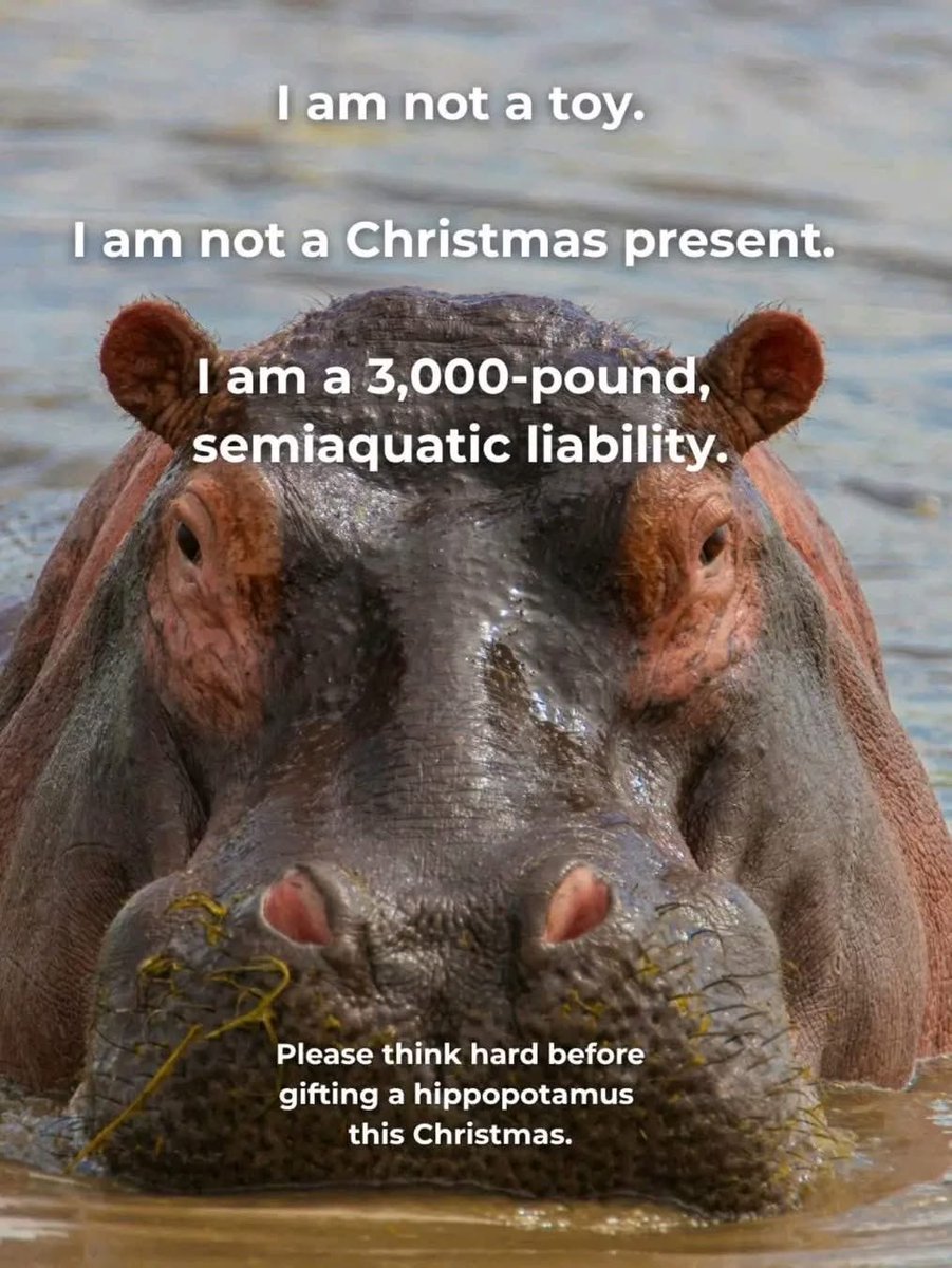 ⚜️⚜️WhoDat Melvin ⚜️⚜️ (@mel102208) on Twitter photo 