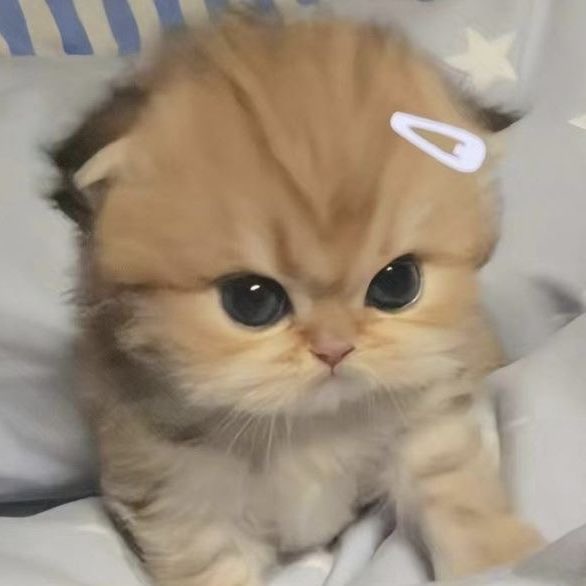 godxfjm's tweet image. เป้นอานัย                                          เป้นแฟนดั้ยมั้ย