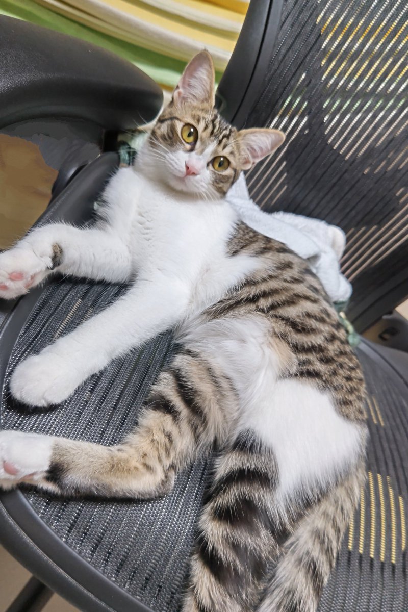 たろうまる🥙1日目東A34ab (@taromarunnn) / Posts / X