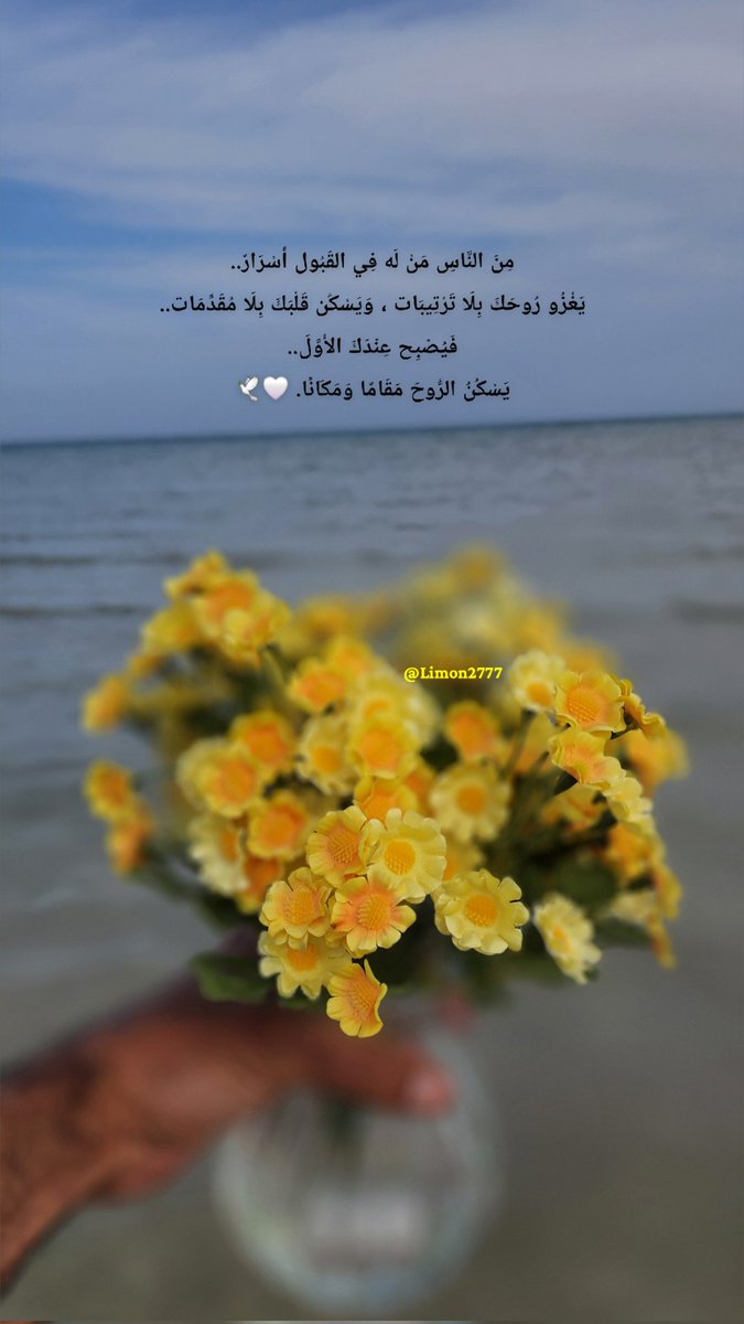 🍋 لايمون 🍋 tweet media