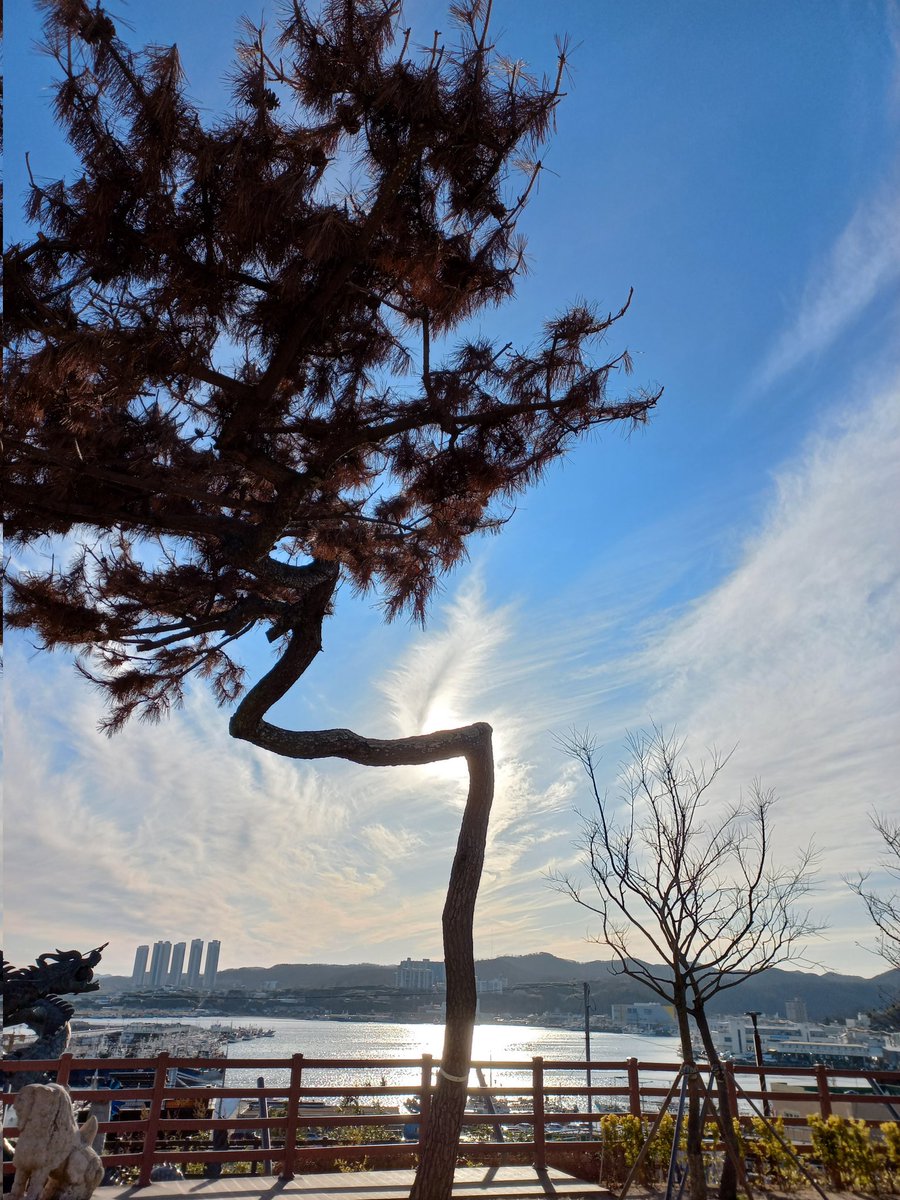 metapencil tweet media