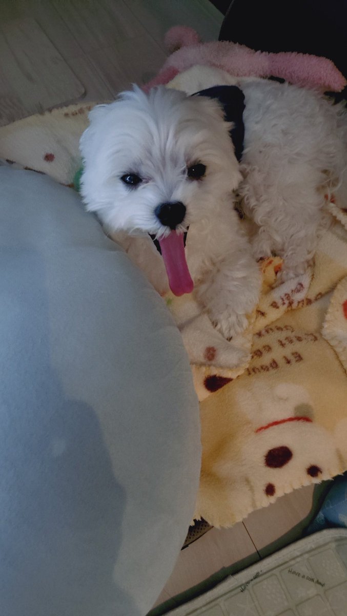 にこまる (@6yQgZFNMNk76215) / Posts / X