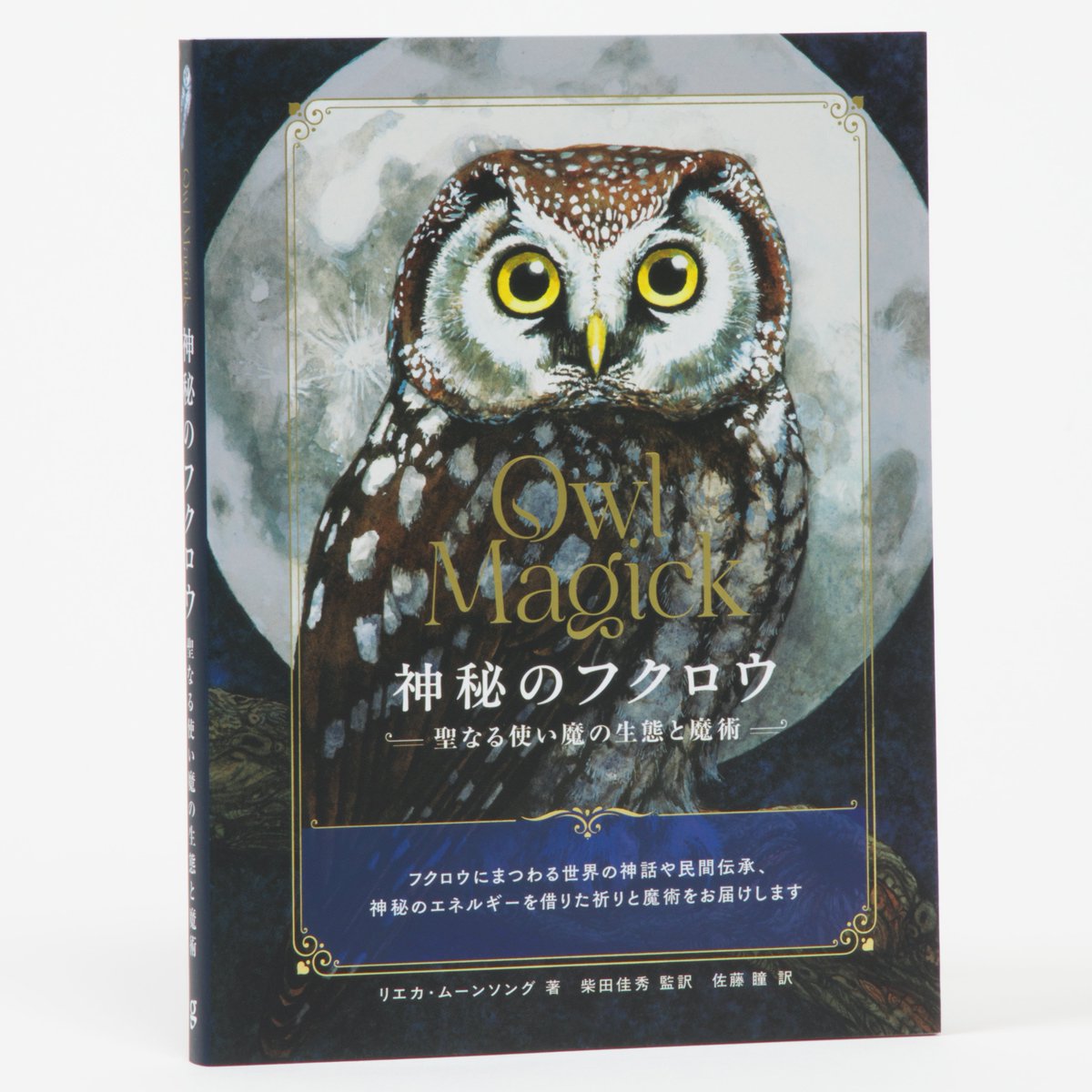 g社が2025年にお届けした本 【95冊目/133冊】 ＼ 闇を見通す目を持つ