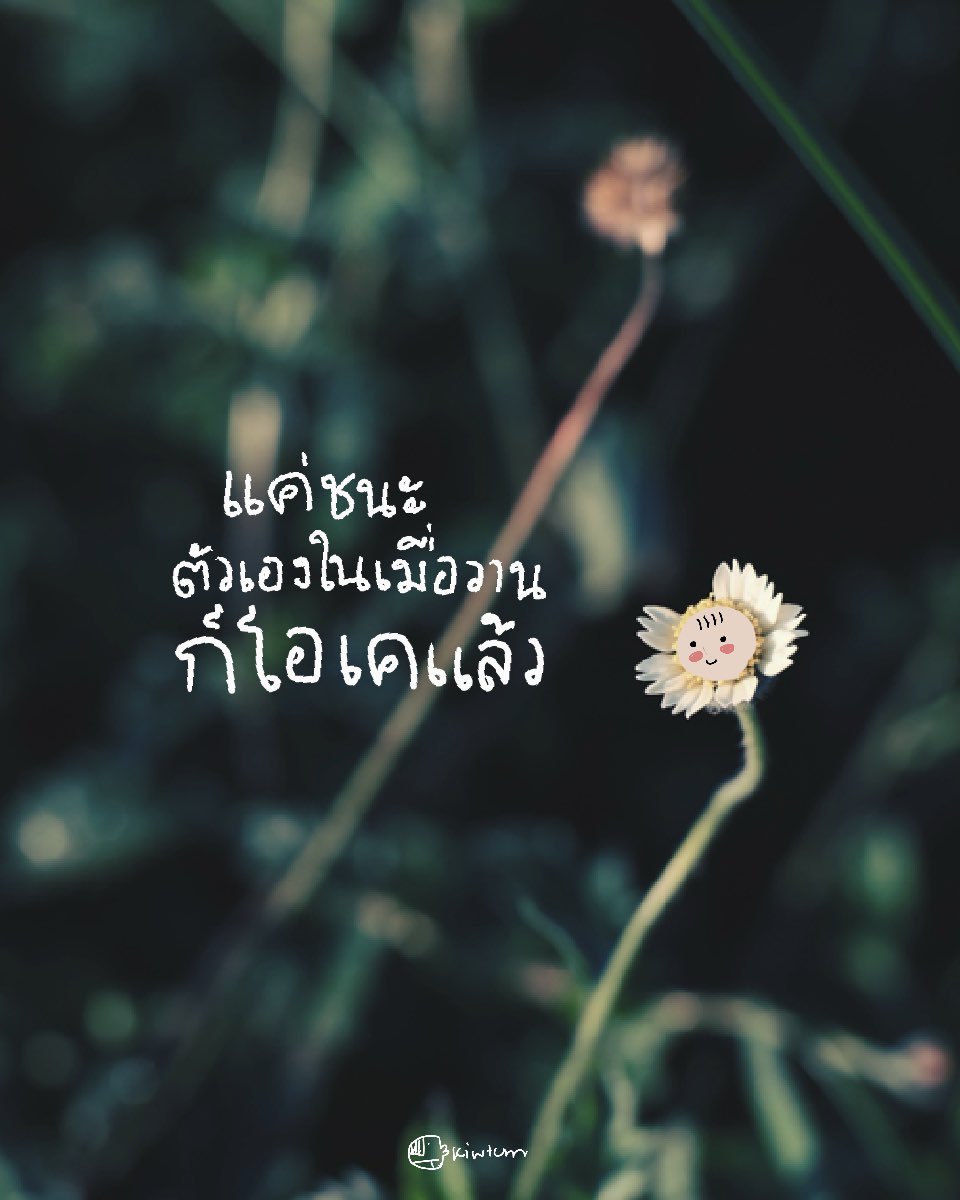kiwtum's tweet image. ไม่แข่งกับใครทั้งนั้น

ขอแคืเป็นตัวเองที่เก่งขึ้น
กว่าตัวเองในเมื่อวาน

แม้เพียงเล็กน้อย ก็สุขใจละ

😊