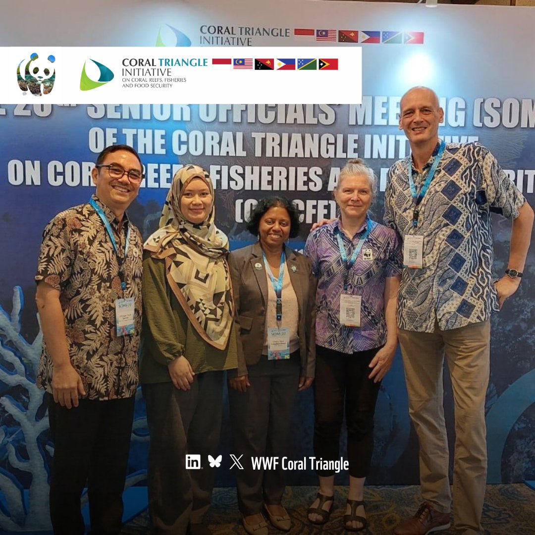 Coral_Triangle's tweet image. During the CTI-CFF SOM-20 last week, WWF CTP’s 2026 proposals were acknowledged, including support for community leadership, MPA networks, marine plastic strategies + IMTAs via blue corridors.

A hopeful year ahead for regional action in the Coral Triangle.

#CoralTriangle #CTP