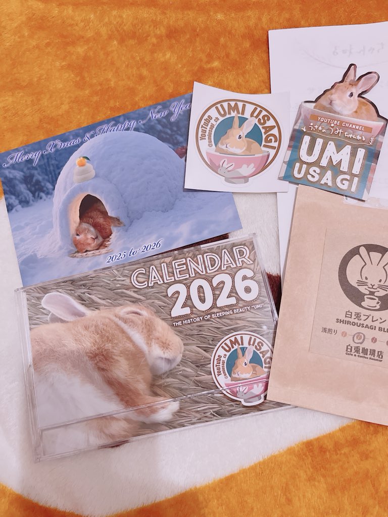 今年もうみちゃん(@umiusagi_ch)のカレンダーが届きました