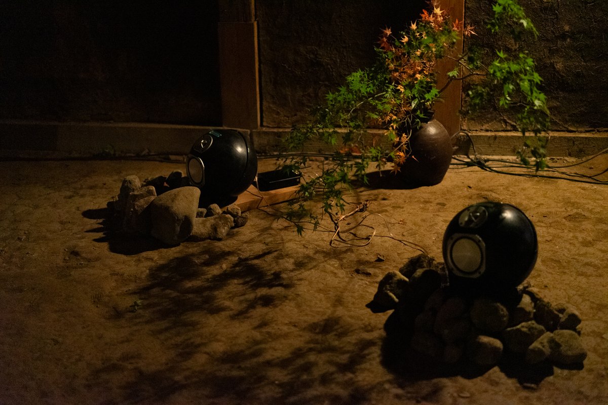 よっと / yoxtellar tweet media