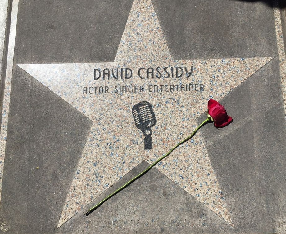 Lindar_57's tweet photo. #DavidCassidy❤️Forever &amp; Always❤️ https://t.co/Ia85P8pf0W