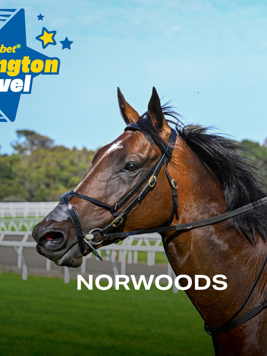 Melbourne Racing Club tweet media