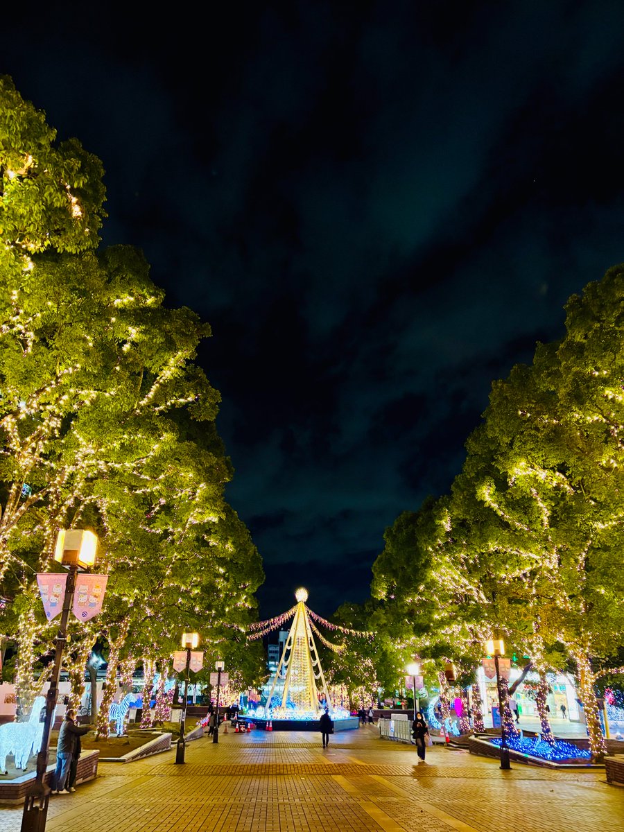 u_ths's tweet photo. もうすぐクリスマス🌲多摩センター駅前のイルミネーションです(きれい!!)✨学内では授業最終日にパウンドケーキ配布🤶の情報が...😳♡先着順ですって！
#東京医療学院大学 #看護師 #助産師 #理学療法士 ＃作業療法士 https://t.co/vi64AyqtDP