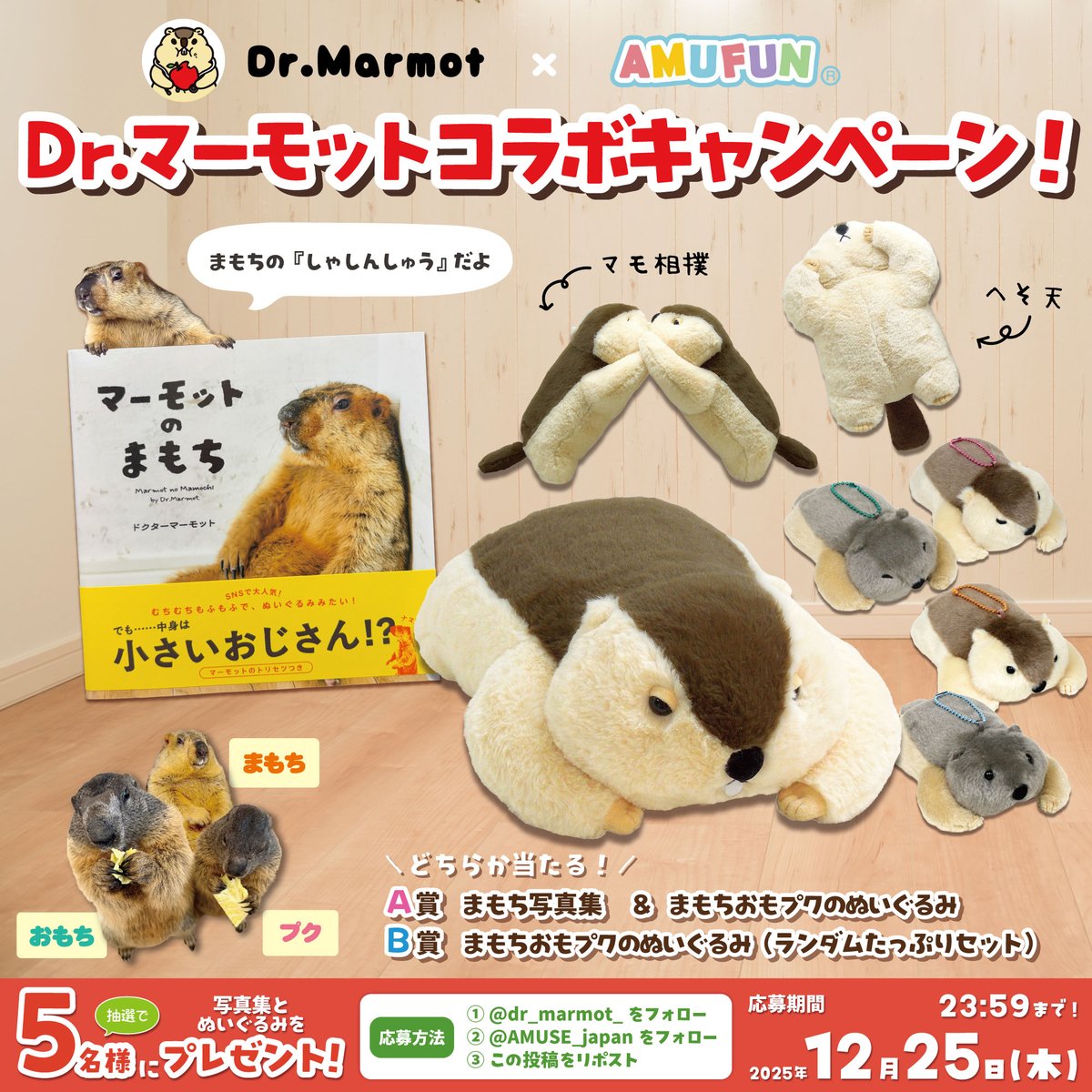 Dｒ.マーモットまもちおもプクのぺたーん＆マモ相撲 L ぬいぐるみ　全4種セット Dr.マーモット まもちおもプクのぺたーん＆マモ相撲ぬいぐるみ 4種